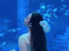 -南昌融创海世界