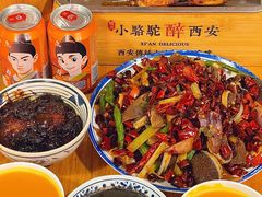-福苗小骆驼烧烤(莲湖路店)