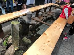 -西归浦每天偶来市场