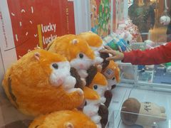 -LLJ夹机占(清河万象汇店)