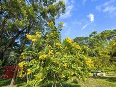 -深圳国际园林花卉博览园