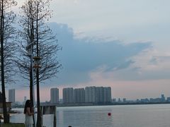 -瑶湖郊野森林公园