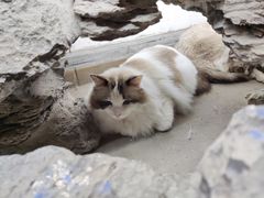 -白兔子密室(长寿路店)