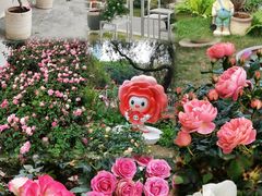 -人民公园(罗湖区)