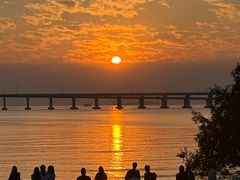 -宝安西湾红树林湿地公园