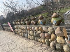 -空港花田景区