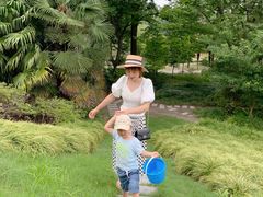 -泰州凤城河风景区-泰山公园