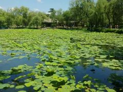 -承德避暑山庄景区