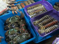 -仙本那小型鱼市