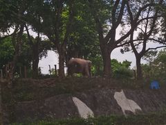 -深圳野生动物园