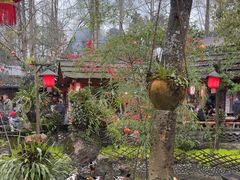 -青城甲(青城山店)