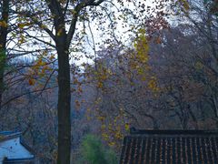 -虞山风景区
