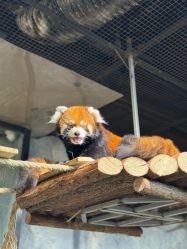 -Zoolung Zoolung动物主题公园(海信广场店)