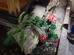 -東大方(海宁海昌路店)