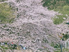 -杭州少年儿童公园