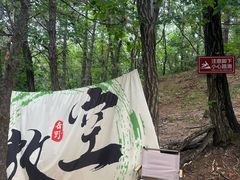 -六里坪国家森林公园