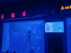 -太平洋海底世界