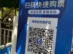 -广东惠东海龟国家级自然保护区