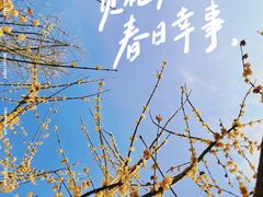 -三圣花乡旅游区