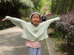-都江堰中华大熊猫苑