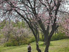 -钟山体育运动公园