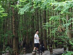 -桤木河湿地公园