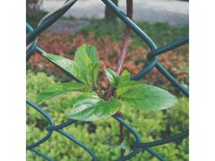 -河海大学(常州校区)