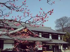 -醍醐寺