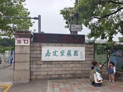 -嘉定紫藤园