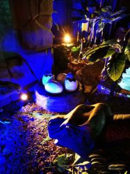 -恐龙探索乐园(磁器口店)