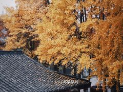 -苏州大学(天赐庄校区)