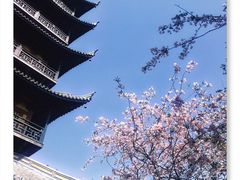 -常熟方塔园