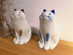 -猫里有甜