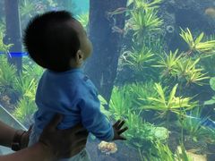 -石家庄海洋公园