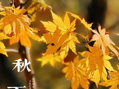 -洋湖沟