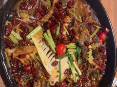 -老板恋上鱼(恒隆广场店)