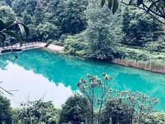 -九龙潭景区