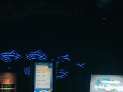 -烟台海昌鲸鲨海洋公园