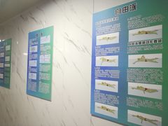 -雷雷游泳俱乐部