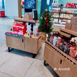 #捕捉🎄圣诞树大大小小[胜利]