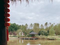 -东平国家森林公园