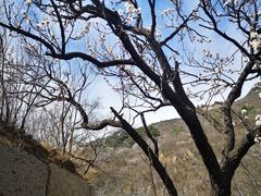 -何适山庄 ·可团建(水长城P2停车场店)