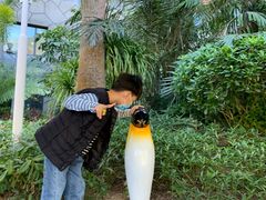 -帝企鹅自助餐厅•儿童岛•真企鹅(长隆企鹅酒店)