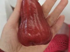 莲雾-上海龙吴水胜海发市场