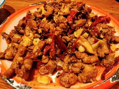 -柴窝堡22号辣子鸡·传承新疆菜