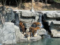 -宁波野生动物园