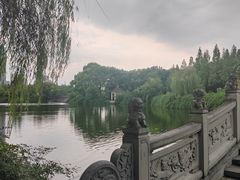 -成都南湖公园