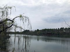 -上海怡沁园度假酒店