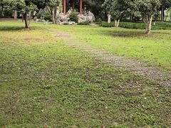 -汉水公园