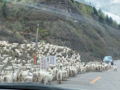 -雁门关景区